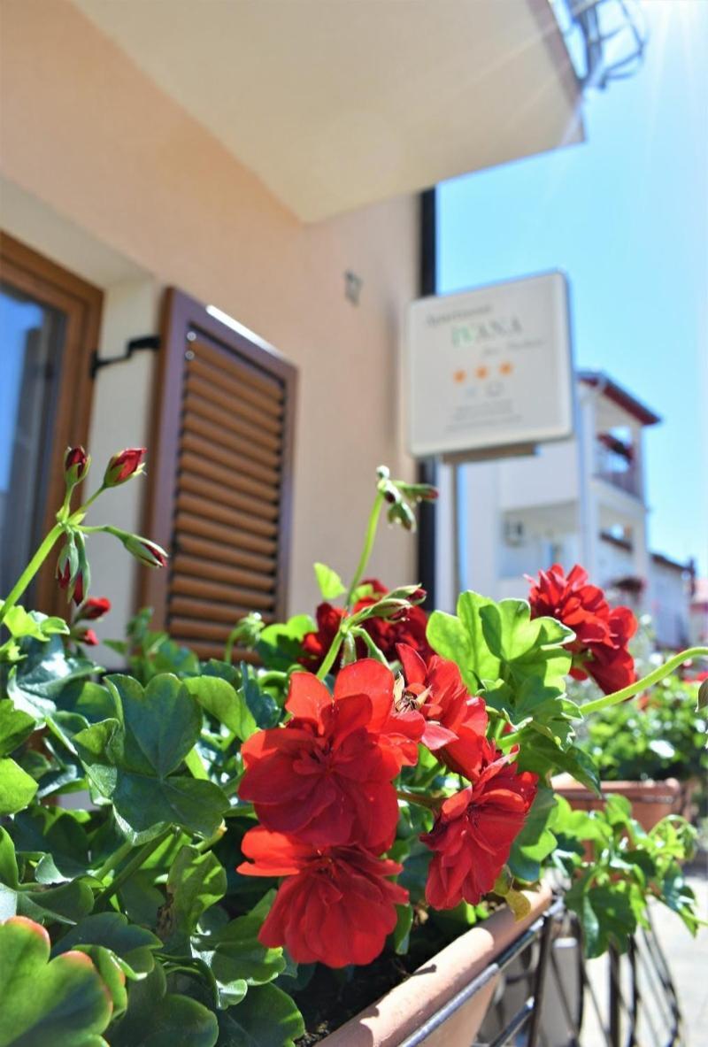 Apartments & Rooms Ivana Rovinj Bilik gambar